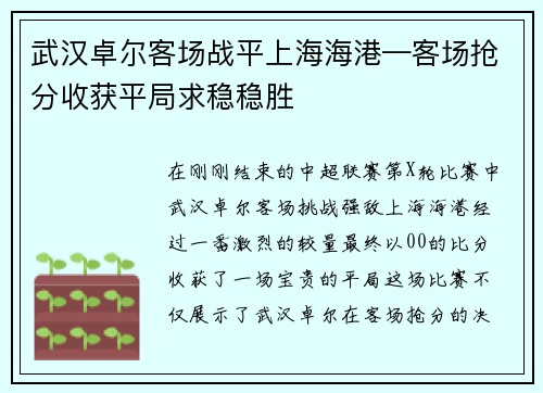 武汉卓尔客场战平上海海港—客场抢分收获平局求稳稳胜
