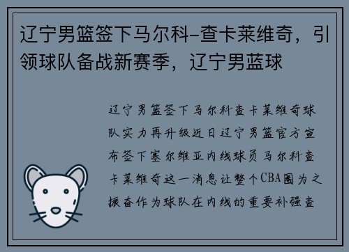 辽宁男篮签下马尔科-查卡莱维奇,引领球队备战新赛季,辽宁男蓝球