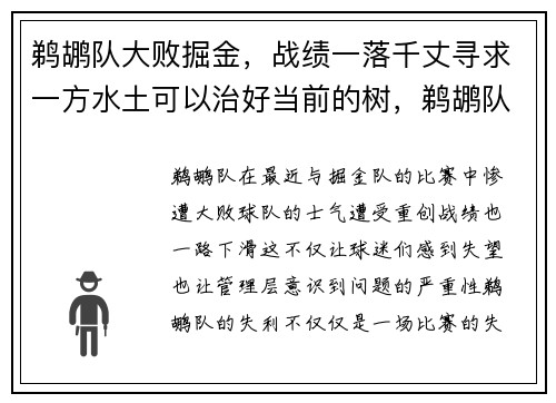 鹈鹕队大败掘金，战绩一落千丈寻求一方水土可以治好当前的树，鹈鹕队最新阵容
