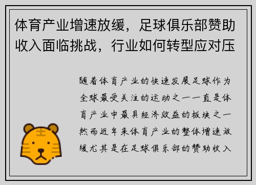 体育产业增速放缓，足球俱乐部赞助收入面临挑战，行业如何转型应对压力